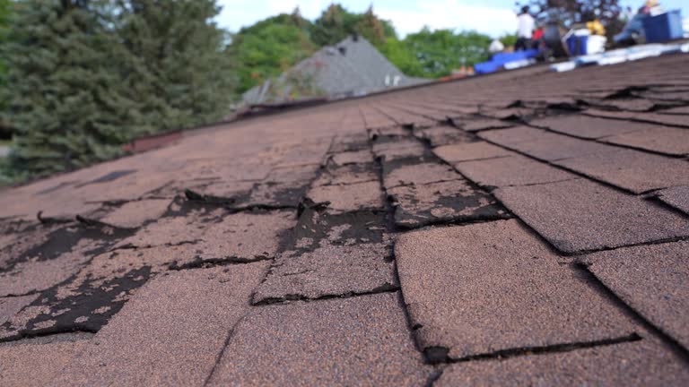 Reliable Elkhart, TX Roofing Service Solutions