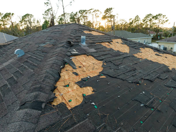 Best Roof Waterproofing  in Elkhart, TX