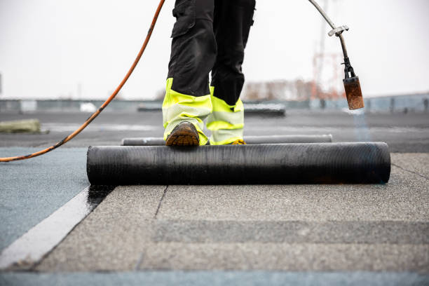 Best Solar Panel Roofing Installation  in Elkhart, TX
