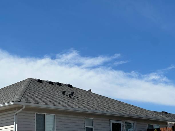 Best Cold Roofs  in Elkhart, TX